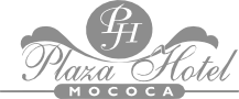 plaza-logo-cinza